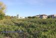 Terreno Agricolo in vendita a Maltignano - 05, Foto 5