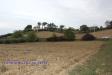 Terreno Agricolo in vendita a Tossicia in via lame - 10, Foto 10