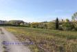 Terreno Agricolo in vendita a Maltignano in viale abruzzi - 03, Foto 3