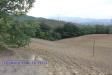 Terreno Agricolo in vendita a Tossicia in via lame - 09, Foto 9