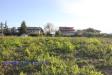Terreno Agricolo in vendita a Maltignano in viale abruzzi - 06, Foto 6