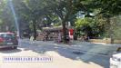Attivit� commerciale in vendita a Ascoli Piceno in viale alcide de gasperi - 03, Foto 3