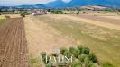 Terreno Agricolo in vendita a Maltignano in viale marche - 04, Foto 4