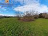 Terreno Agricolo in vendita a Turriaco in piave 43 - 04, Foto 4