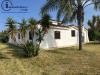 Villa in vendita con giardino a Tortol in localit monte terli - 10, Foto 10