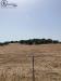 Terreno Agricolo in vendita a Bari Sardo in localita' baueni - 06, Foto 6