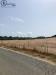 Terreno Agricolo in vendita a Bari Sardo in localita' baueni - 07, Foto 7