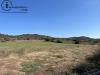 Terreno Agricolo in vendita a Tortol� in localit monigorgiu - 03, Foto 3