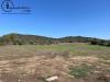 Terreno Agricolo in vendita a Tortol� in localit monigorgiu - 04, Foto 4