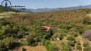 Casa indipendente in vendita a Lanusei in localit taccu - 07, Foto 7