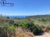 Terreno Agricolo in vendita a Tortol� in foxi lioni - 03, Foto 3