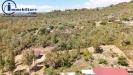 Terreno Agricolo in vendita a Tortol� in foxi lioni - 03, Foto 3