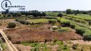 Terreno Agricolo in vendita a Tortol� in basaura - 02, Foto 2