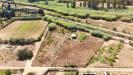 Terreno Agricolo in vendita a Tortol� in basaura - 05, Foto 5