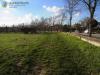 Terreno Edificabile in vendita a Povegliano - 06, Foto 6