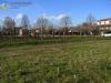 Terreno Edificabile in vendita a Povegliano - 04, Foto 4