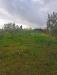 Terreno Agricolo in vendita a Palma Campania - 03, Foto 3