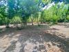 Terreno Agricolo in vendita a San Giuseppe Vesuviano - 06, Foto 6