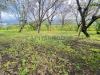 Terreno Agricolo in vendita a Sarno - 04, Foto 4
