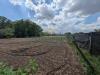 Terreno Agricolo in vendita a Poggiomarino - 03, Foto 3
