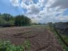 Terreno Agricolo in vendita a Poggiomarino - 06, Foto 6