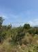 Terreno Agricolo in vendita a Palma Campania - 03, Foto 3