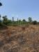 Terreno Agricolo in vendita a Palma Campania - 04, Foto 4