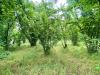 Terreno Agricolo in vendita a Quindici - 03, Foto 3