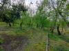 Terreno Agricolo in vendita a Domicella - 03, Foto 3
