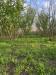 Terreno Agricolo in vendita a Nola - 04, Foto 4
