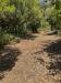 Terreno Agricolo in vendita a Palma Campania - 05, Foto 5