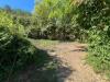 Terreno Agricolo in vendita a Prata di Principato Ultra in contrada vallimai - 04, Foto 4