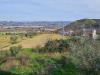 Terreno Agricolo in vendita a Ancarano in contrada taiano - 05, Foto 5