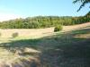 Terreno Agricolo in vendita a Ripatransone - 03, Foto 3