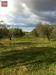 Terreno Agricolo in vendita a Cori in via dei campanili - 03, Foto 3