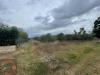 Terreno Agricolo in vendita a Cisterna di Latina in via dell'anatra - 03, Foto 3