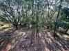 Villa in vendita con giardino a Sezze in via foresta primo tratto - 03, Foto 3