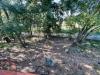 Villa in vendita con giardino a Sezze in via foresta primo tratto - 04, Foto 4