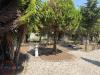 Villa in vendita con giardino a Terracina in santa cruz - 03, Foto 3