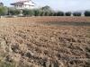 Terreno Edificabile in vendita a Colonnella - 10, Foto 10