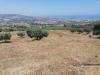 Terreno Agricolo in vendita a Tortoreto - 02, Foto 2