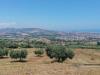 Terreno Agricolo in vendita a Tortoreto - 05, Foto 5