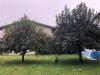 Terreno Edificabile in vendita a Grumello del Monte in via fratelli kennedy - 09, Foto 9