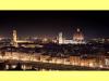 Attivit� commerciale in vendita a Firenze - porta san frediano-piazza santo spirito - 02