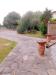 Villa in vendita con giardino a Massa - 03
