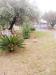 Villa in vendita con giardino a Massa - 05