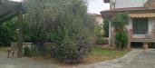 Villa in vendita con giardino a Massa - 08