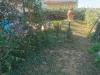 Casa indipendente in vendita con giardino a Capannoli - san pietro in belvedere - 04