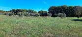 Terreno Agricolo in vendita a Manziana - 05, 20221111_124358.jpg