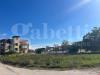 Terreno Agricolo in vendita a Arzano - 03, WhatsApp Image 2026-10-29 at 16.22.22 (3).jpeg